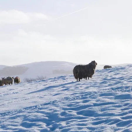 2 Hull House 4* סקיפטון